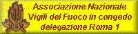 bannervfc.gif (2732 byte)